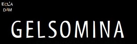 Gelsomina le Mercredi 4 Décembre à 18h00  – Amphitheâtre – Centre Culturel de Porticcio