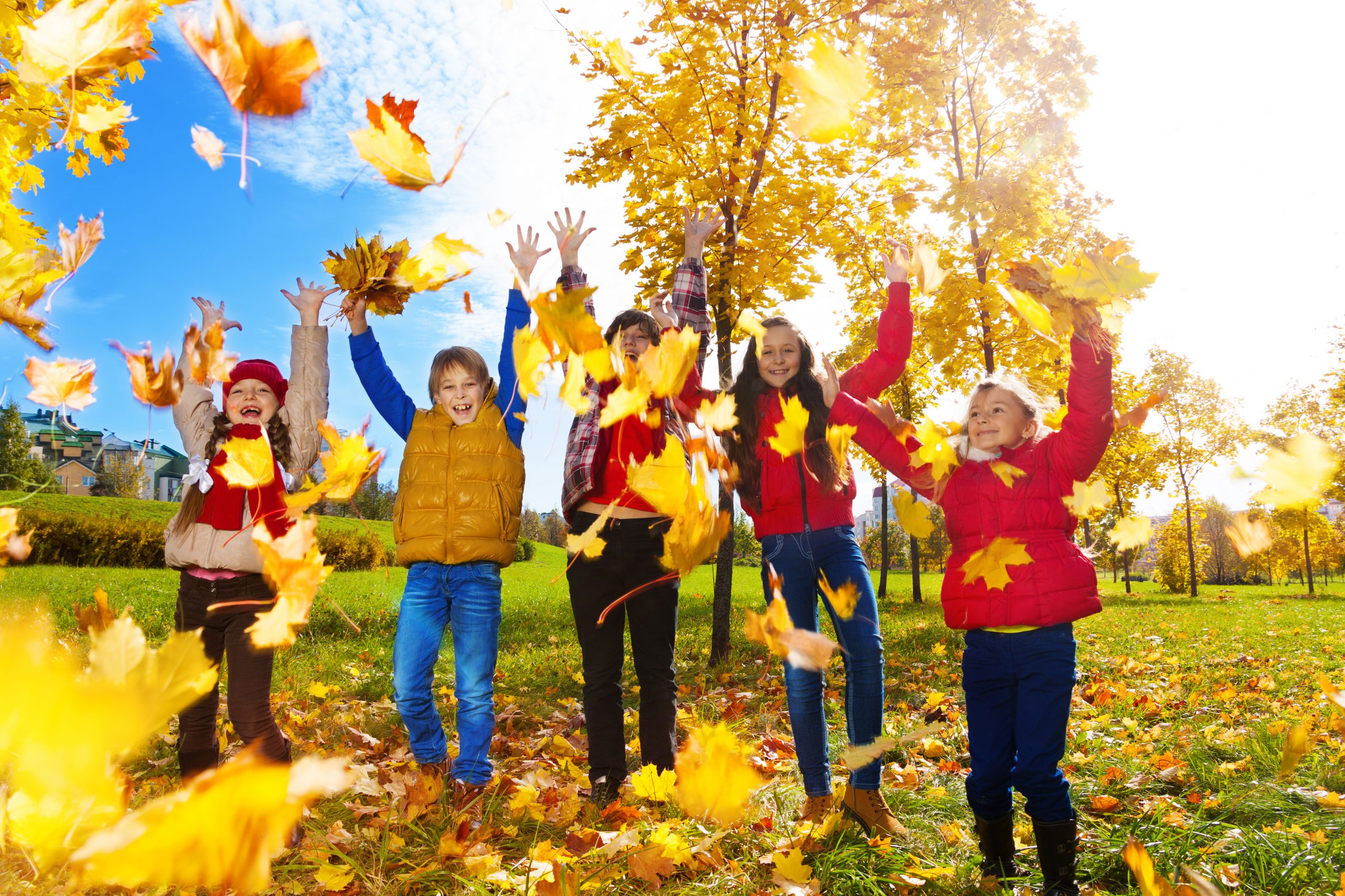 Le programme des vacances de la Toussaint – ALSH Ci Campemu de Porticcio